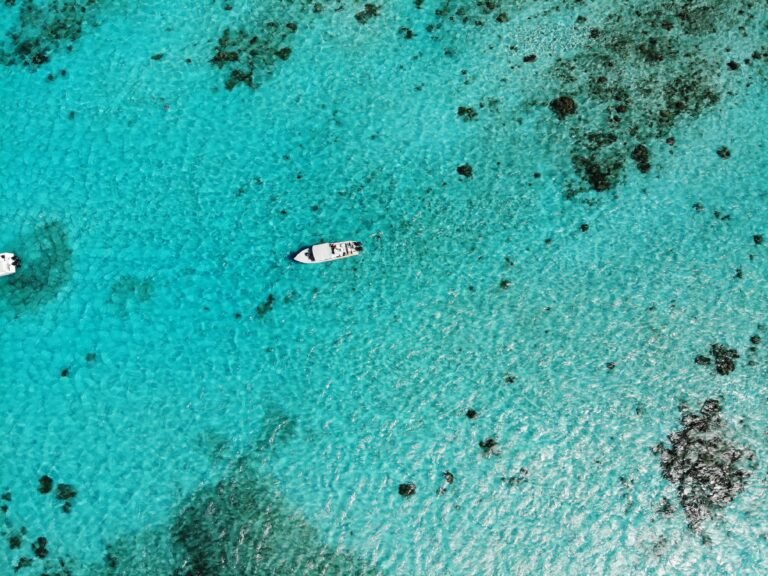 Belize Barrier Reef Guide: Diving the Great Blue Hole and Snorkeling Ambergris Caye
