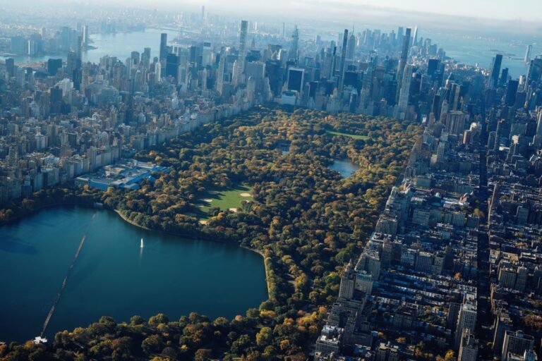 Central Park Guide: Getting There, Where to Stay and How to See It