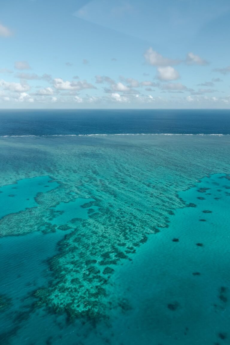 Great Barrier Reef Tour: Entry Rules, Safety, Packing and Reef Etiquette