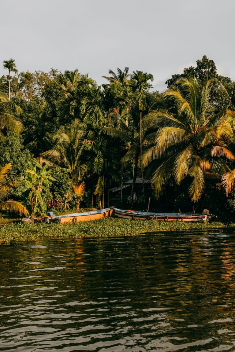 Kerala Backwaters Houseboat Guide: Alleppey, the Vembanad Lake and How to Plan It