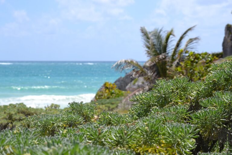 Tulum Travel Guide: Mayan Ruins, Cenotes, and Caribbean Sand