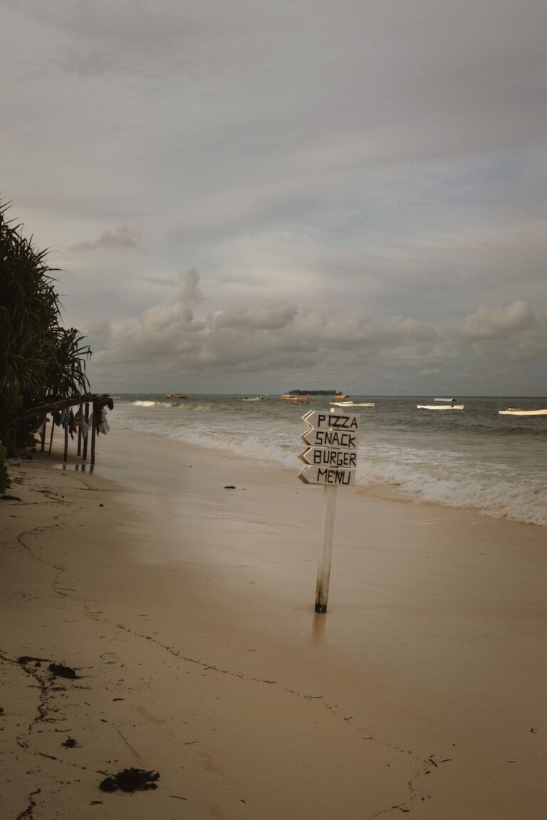 Zanzibar Travel Guide: Stone Town, Beaches and Day Plans